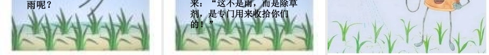 苏教版三年级上册语文《小稻秧脱险记》公开课课件PPT