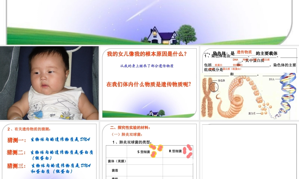 第一节核酸是遗传物质的证据