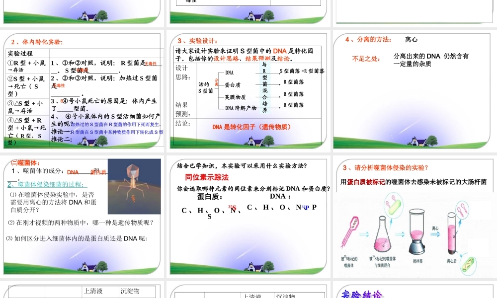 第一节核酸是遗传物质的证据