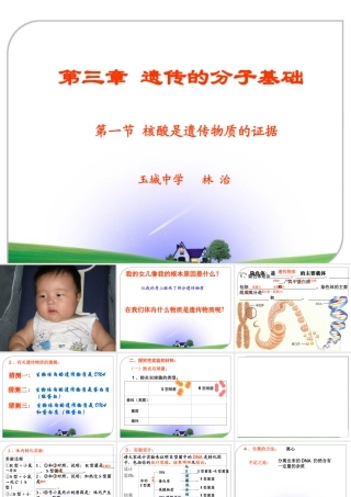 第一节核酸是遗传物质的证据