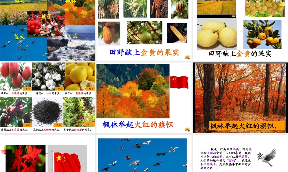 人教版小学语文二年级上册第9课《欢庆》ppt课件