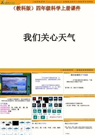 (11我们关心天气