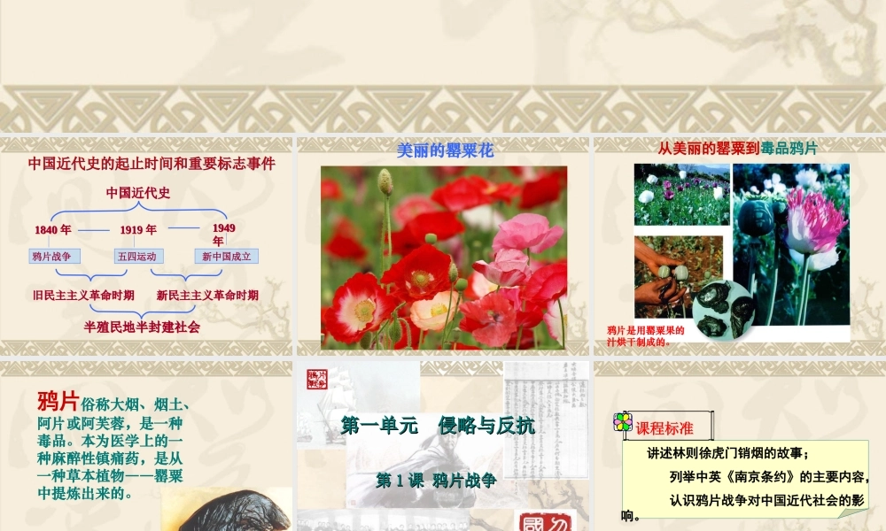 第1课鸦片战争(1)