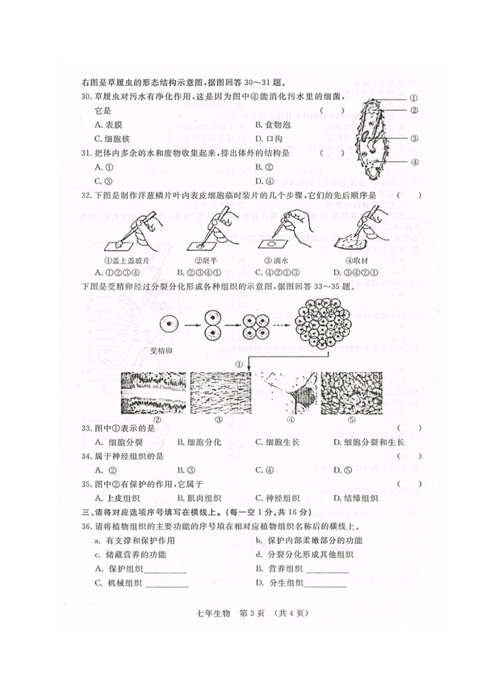 长春汽车开发区2016-2017年第一学期七年级生物期中试卷及答案_第3页