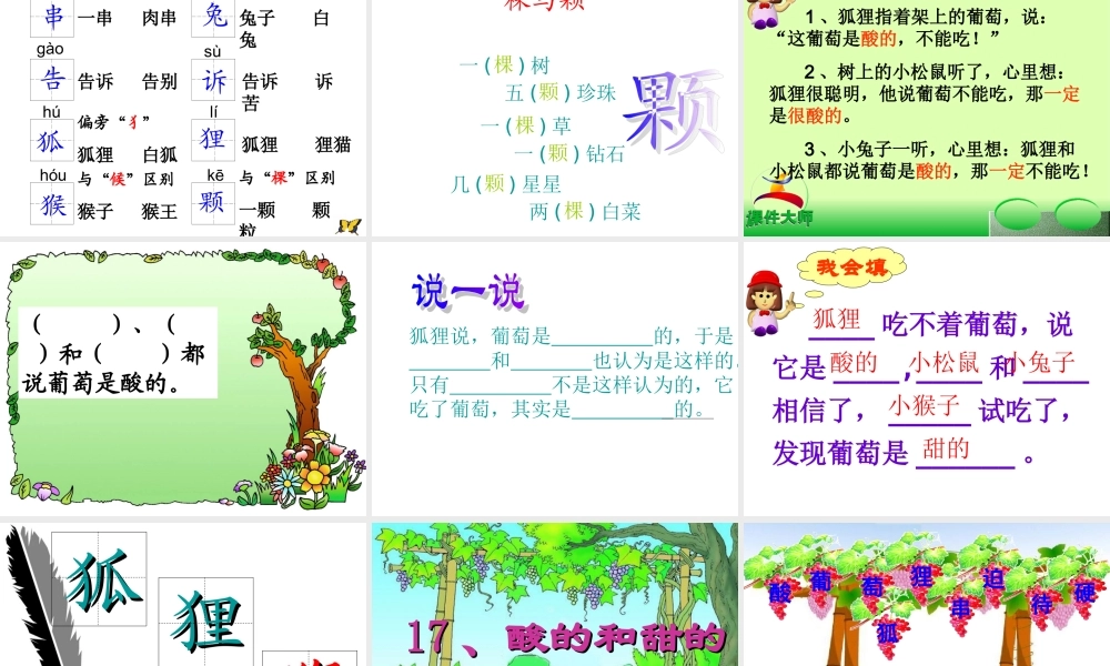 二年级语文上册第四组17.酸的和甜的第二课时课件