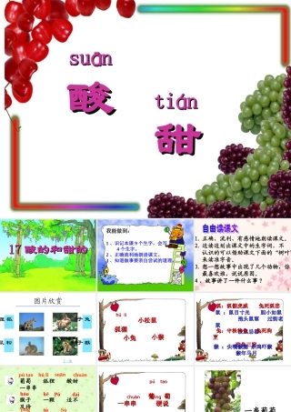 二年级语文上册第四组17.酸的和甜的第二课时课件
