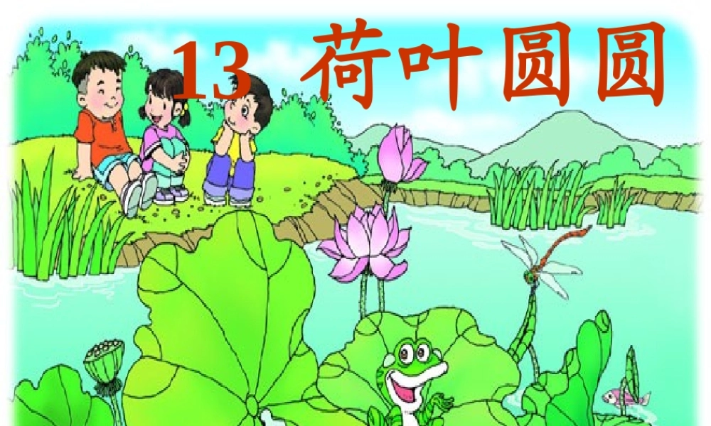 gongkaike课-荷叶圆圆