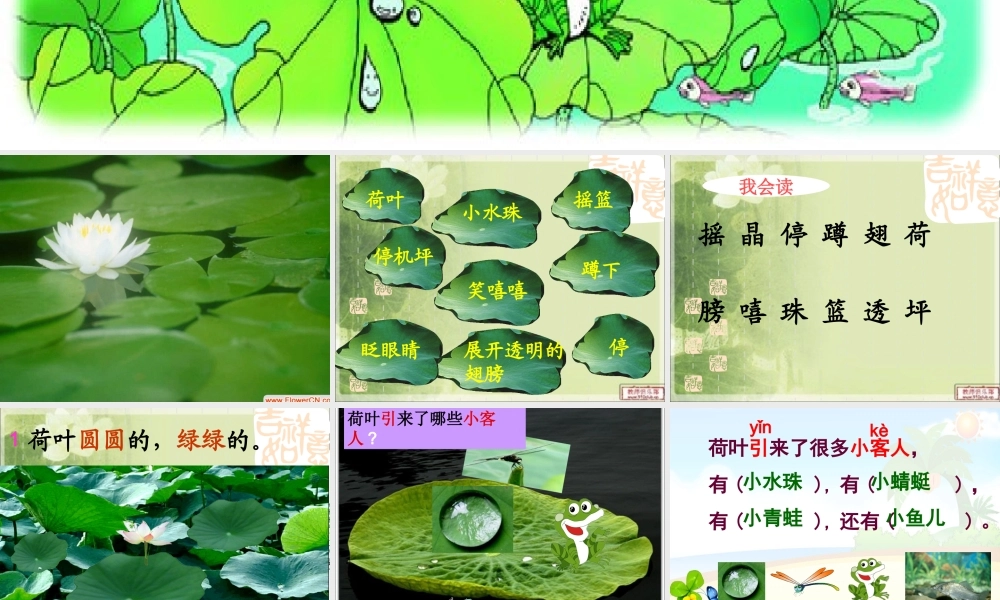 gongkaike课-荷叶圆圆