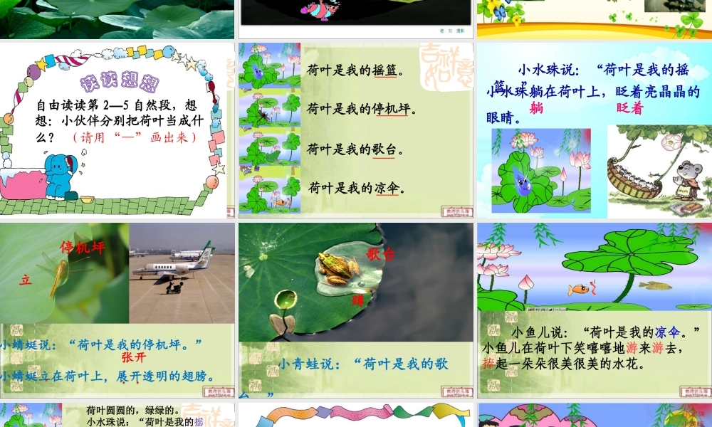 gongkaike课-荷叶圆圆