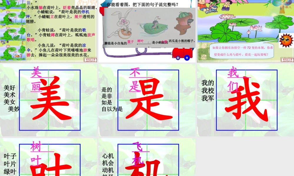 gongkaike课-荷叶圆圆