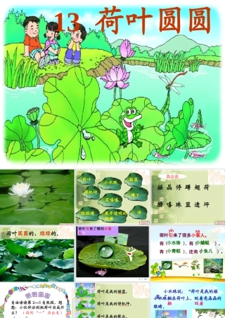 gongkaike课-荷叶圆圆