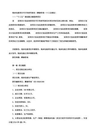 泡沫包装项目可行性研究报告(摩森咨询·十三五规划)
