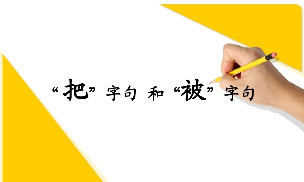 把字句被字句练习