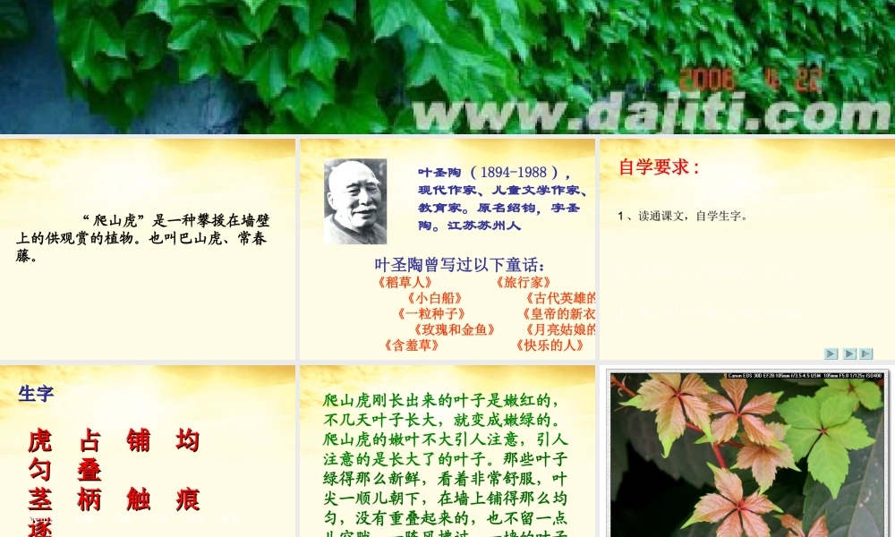 四年级语文上册-爬山虎的脚1课件-人教新课标版