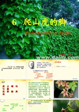 四年级语文上册-爬山虎的脚1课件-人教新课标版
