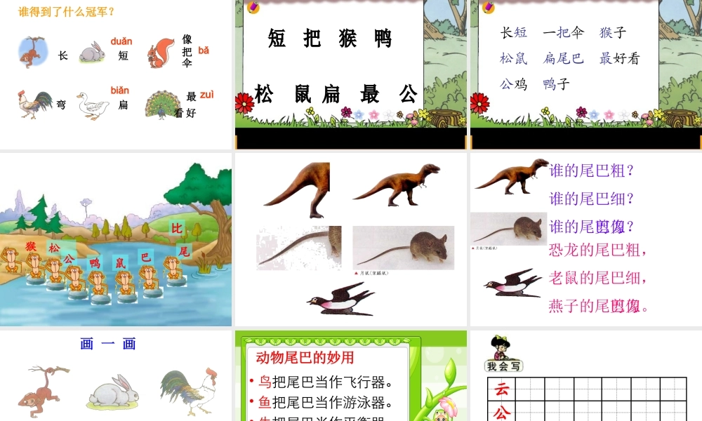 《10比尾巴》课件(1)