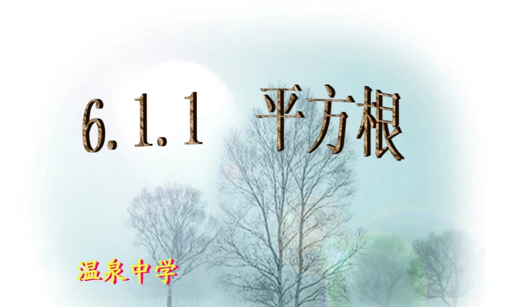 平方根.1-平方根1