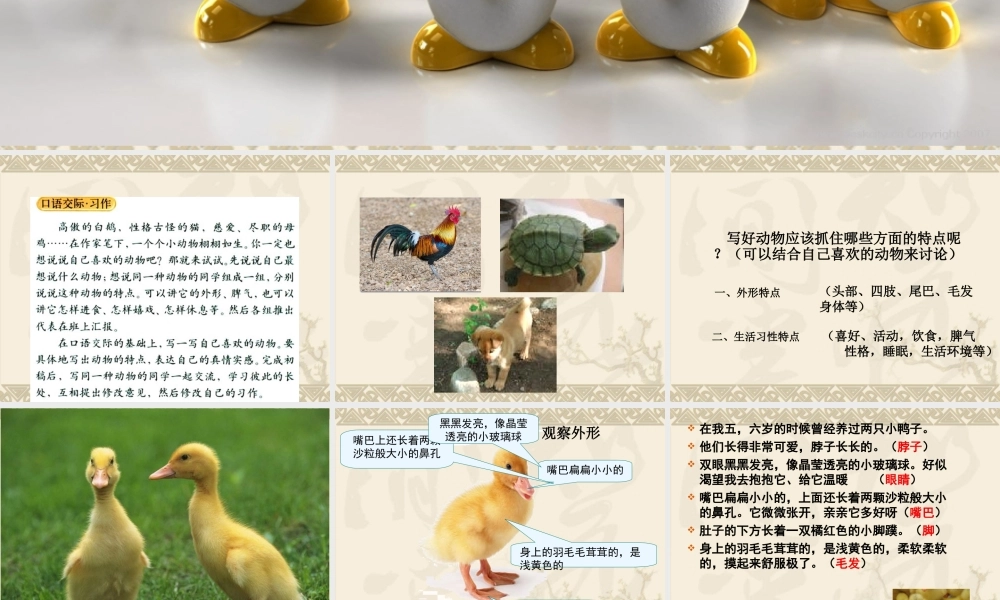 语文园地四作文