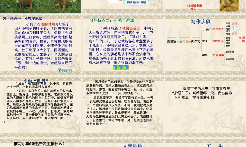 语文园地四作文
