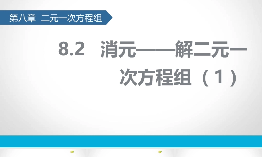 代入消元法解二元一次方程组-(9)