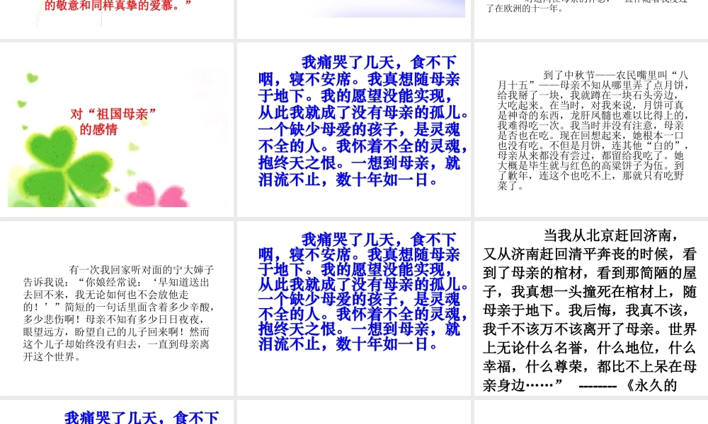 6-怀念母亲定稿