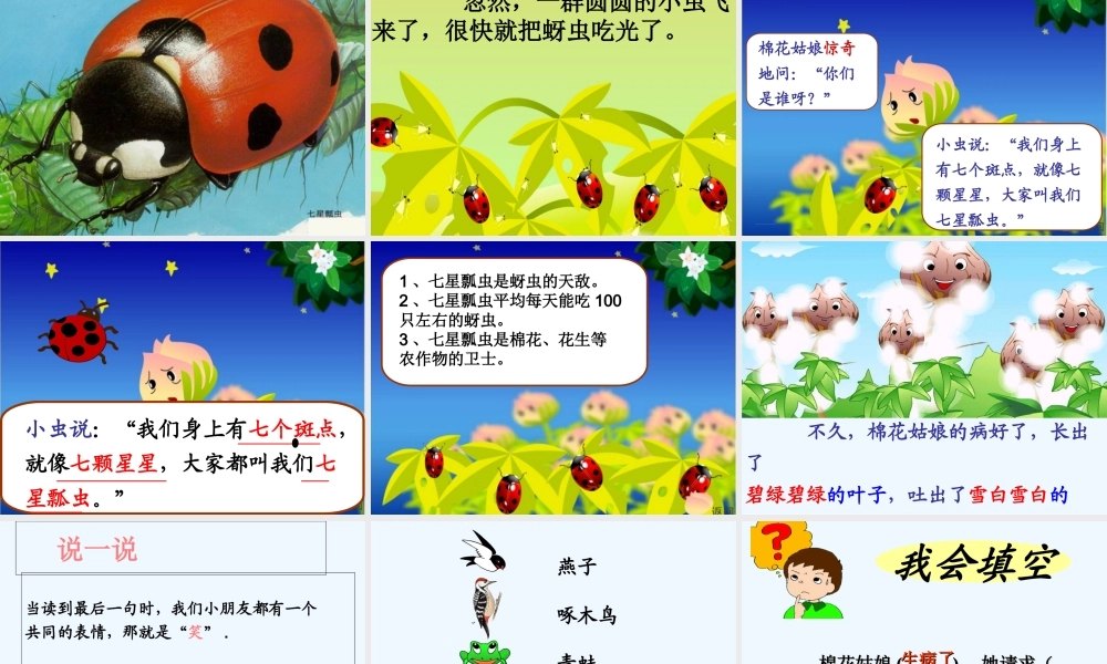 (部编)人教语文2011课标版一年级下册19.《棉花姑娘》PPT