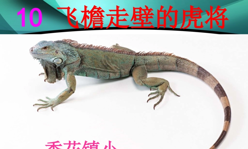 四年级语文精品课件：《飞檐走壁的虎将》