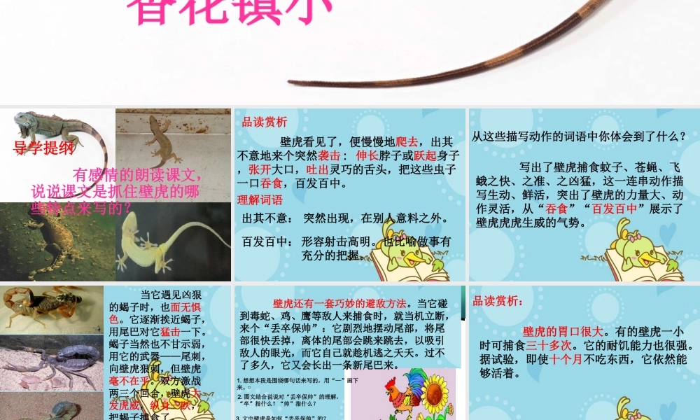 四年级语文精品课件：《飞檐走壁的虎将》