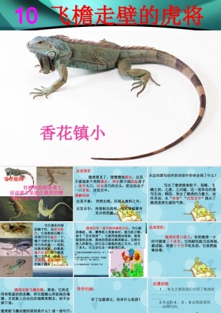 四年级语文精品课件：《飞檐走壁的虎将》