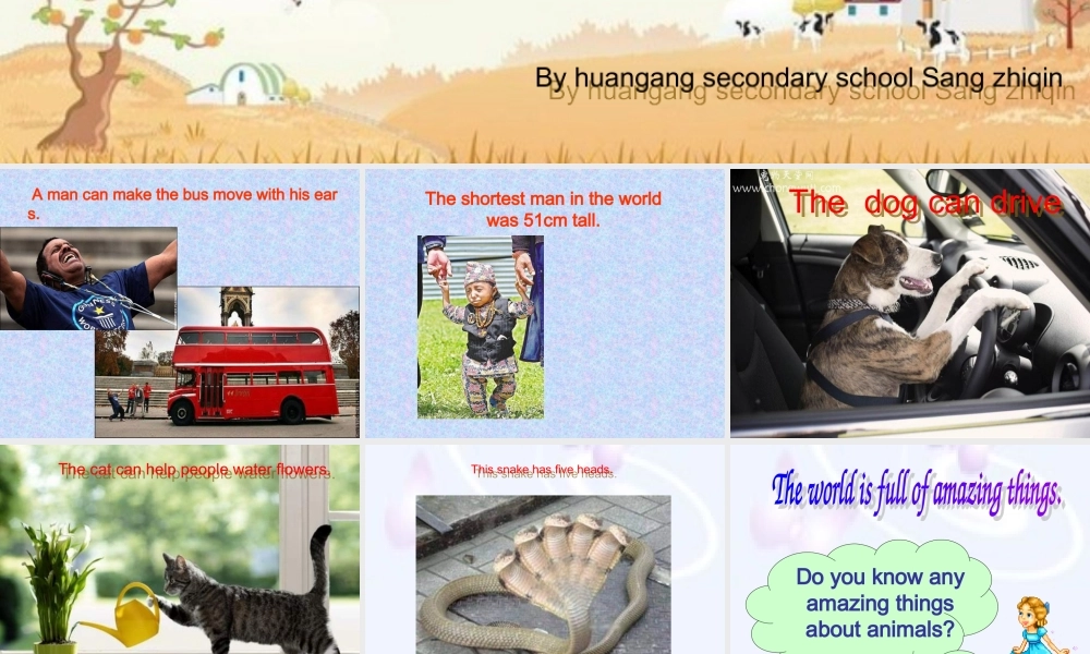 unit5AmazingthingsTask