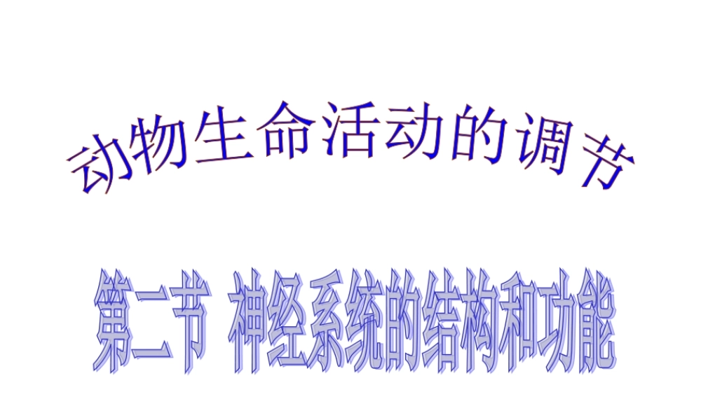 神经系统的结构和功能