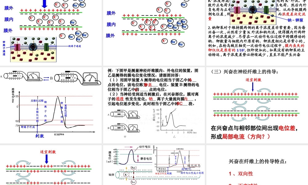 神经系统的结构和功能