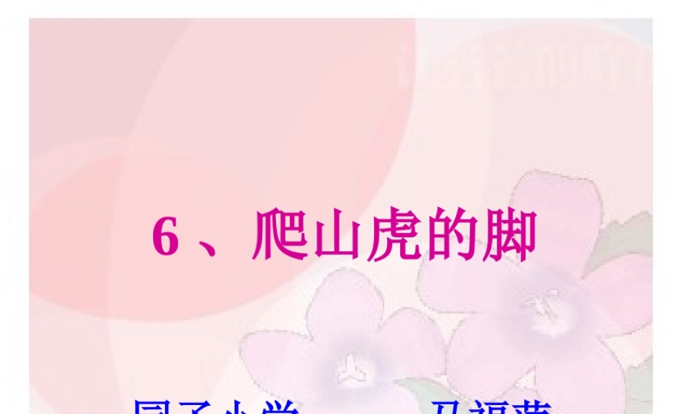 四年级上册爬山虎的脚