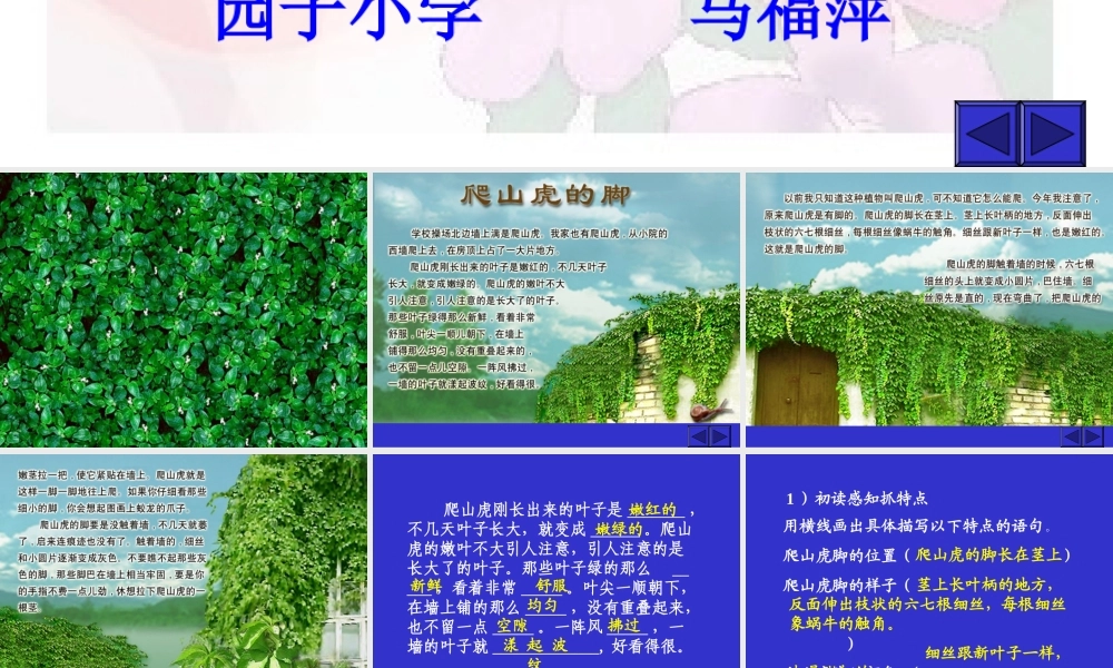 四年级上册爬山虎的脚