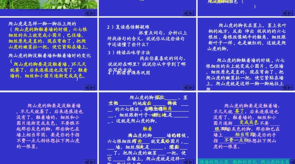 四年级上册爬山虎的脚