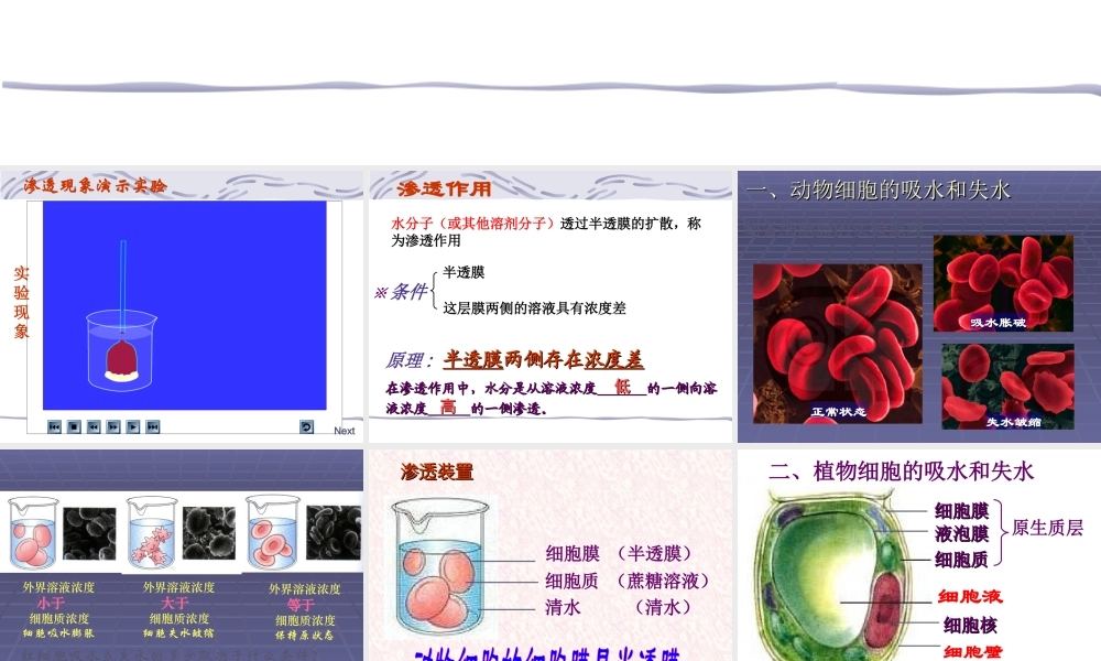 4.1-物质跨膜运输的实例.ppt