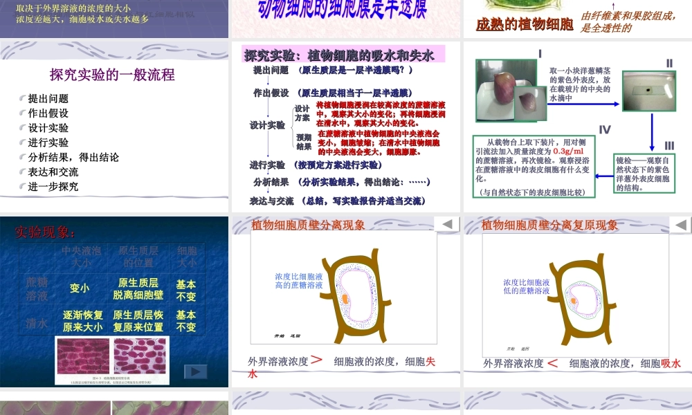 4.1-物质跨膜运输的实例.ppt