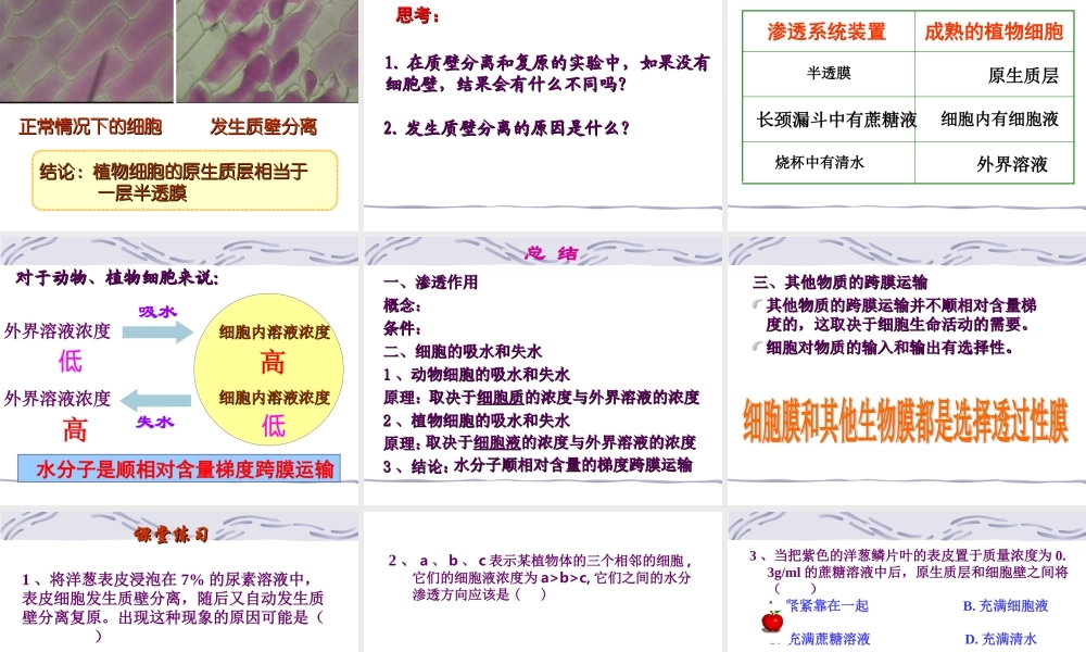 4.1-物质跨膜运输的实例.ppt