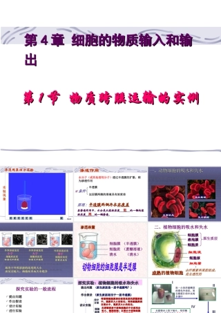 4.1-物质跨膜运输的实例.ppt