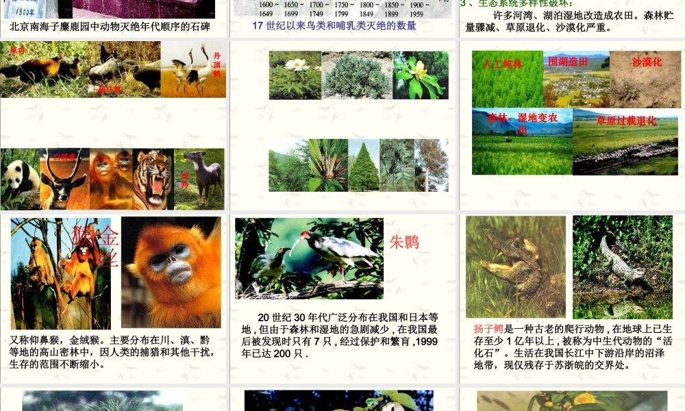 第三节保护生物多样性-(2)