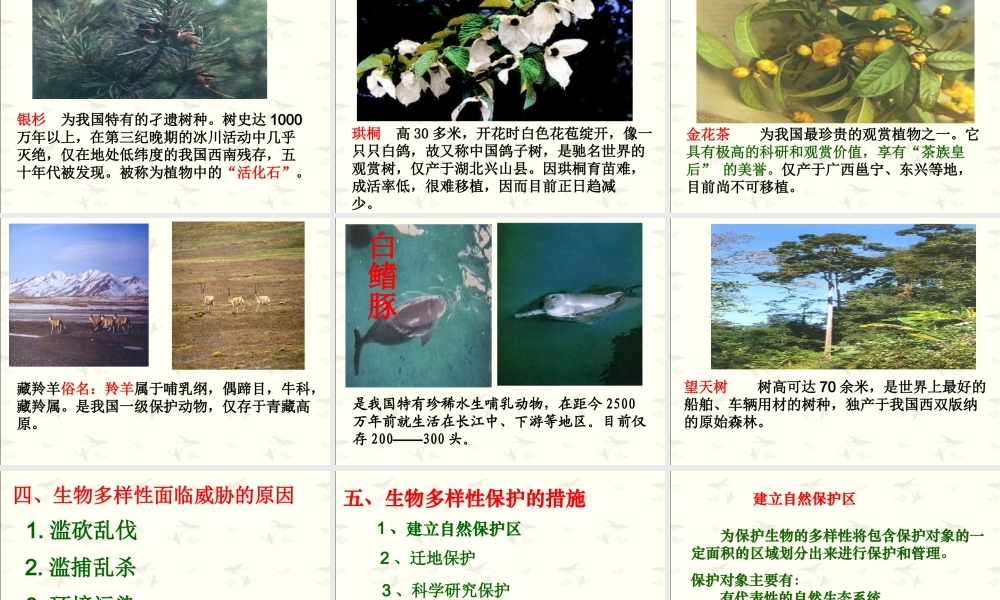 第三节保护生物多样性-(2)