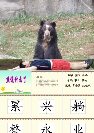 《熊说什么了》课件2
