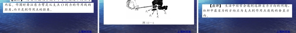 2010届中考物理复习课件——第四单元简单机械12-14
