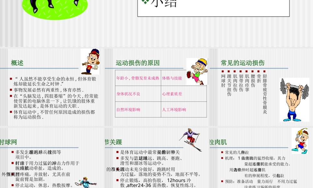 初中初二体育课件