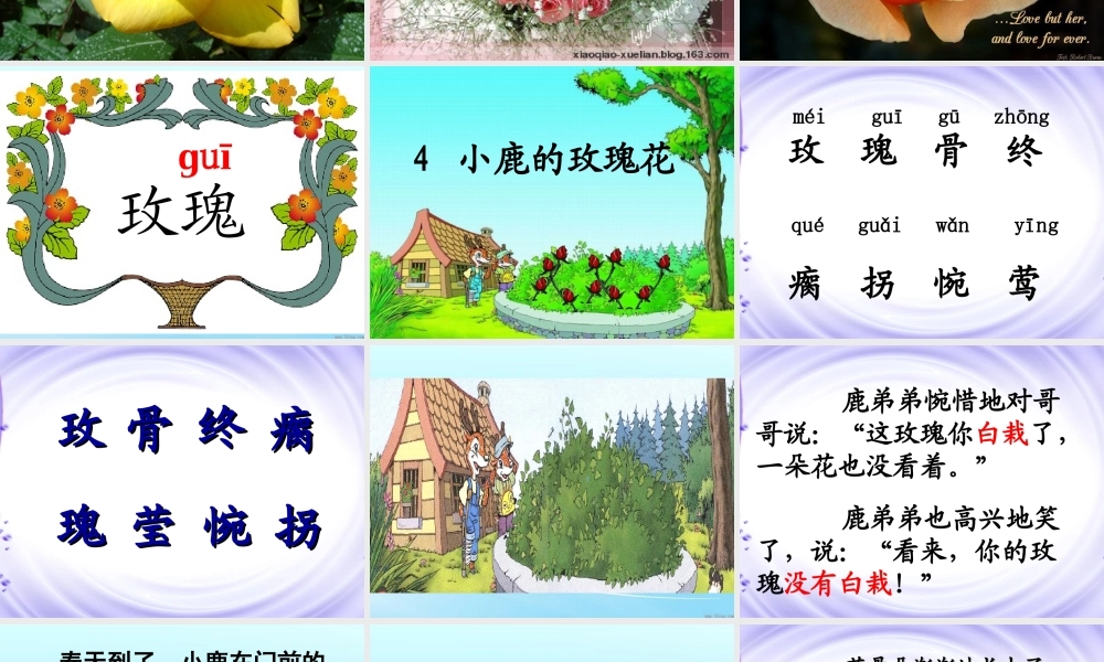 4小鹿的玫瑰花ppt课件1