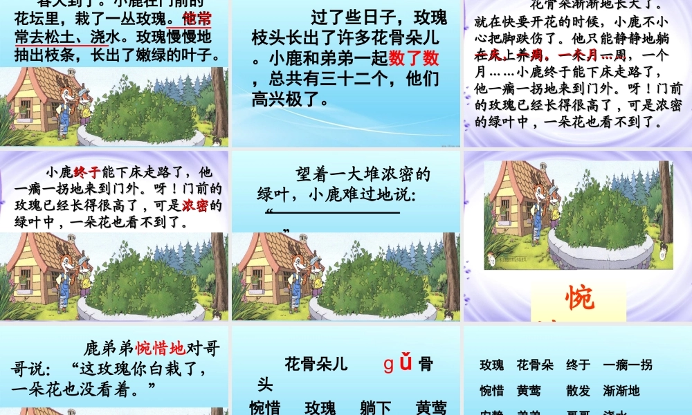 4小鹿的玫瑰花ppt课件1