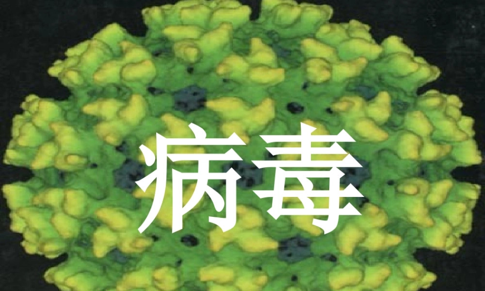 科学·技术·社会-朊病毒、疯牛病、克雅氏病