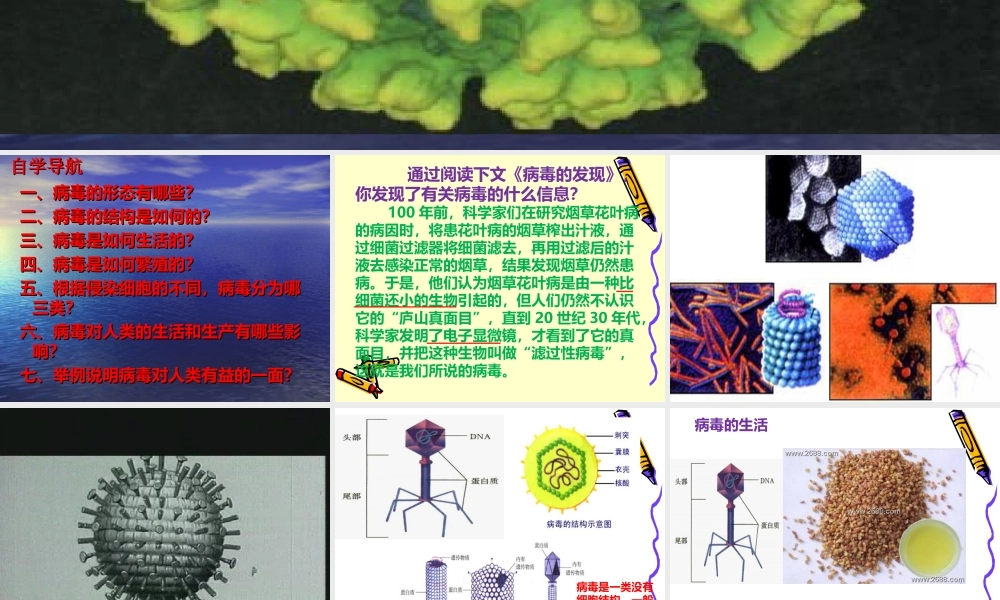 科学·技术·社会-朊病毒、疯牛病、克雅氏病
