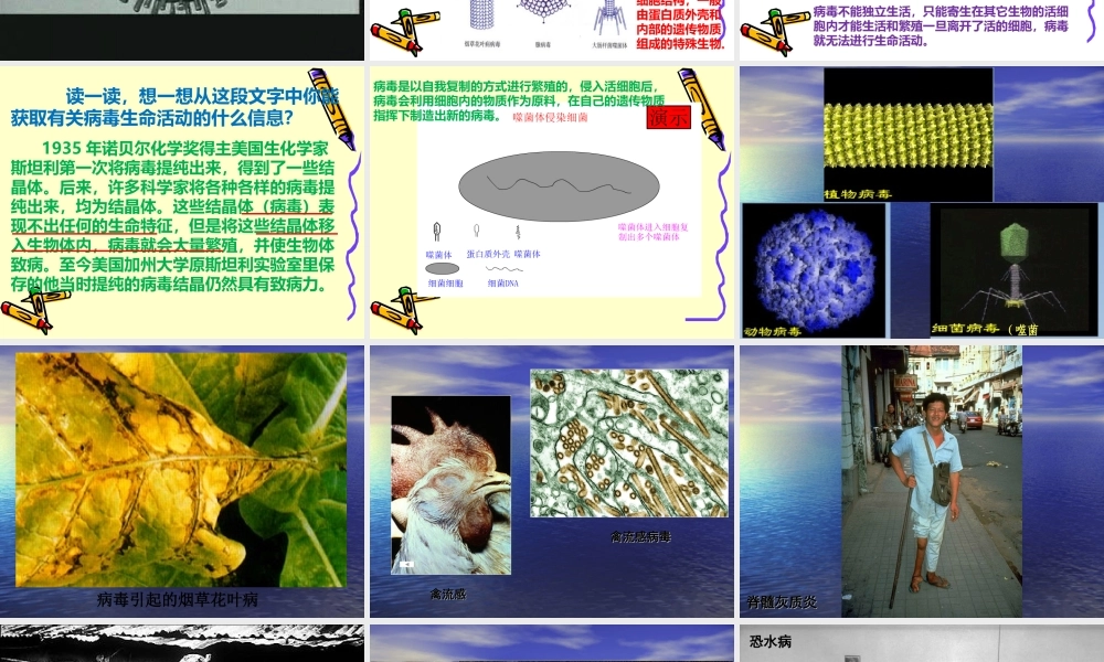 科学·技术·社会-朊病毒、疯牛病、克雅氏病