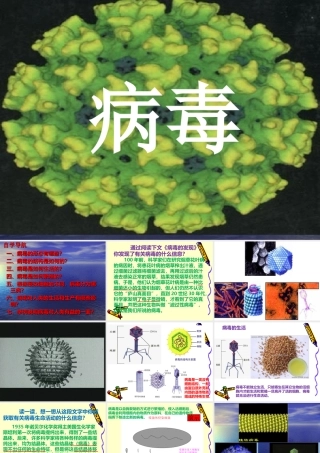 科学·技术·社会-朊病毒、疯牛病、克雅氏病